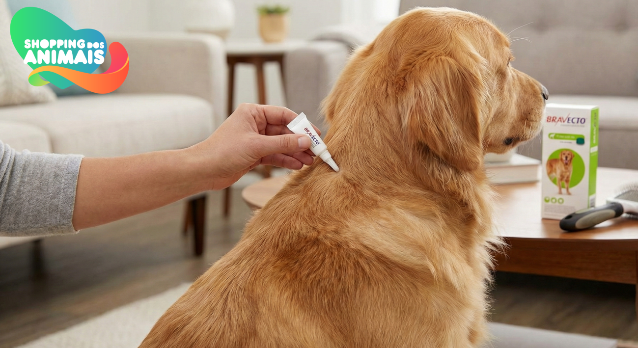 C:\Users\user\Downloads\teste 3 (3).png